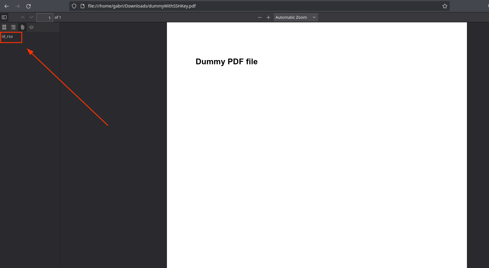 id_rsa in pdf exists