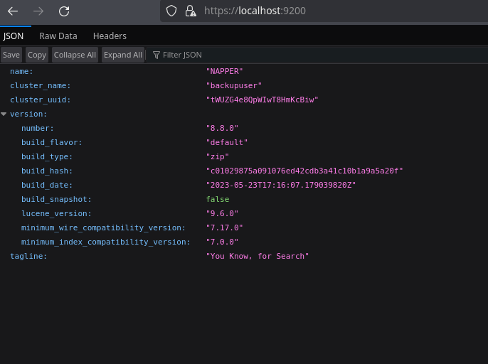 Elasticsearch inspecting the main page